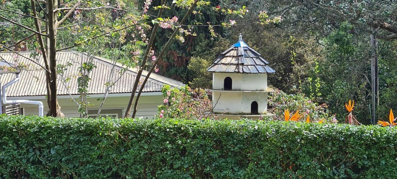 Dovecote House Bed & Breakfast Auckland Dış mekan fotoğraf