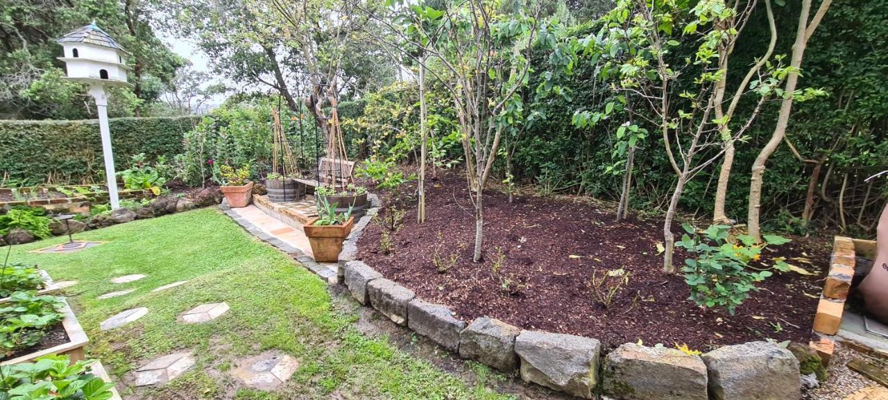 Dovecote House Bed & Breakfast Auckland Dış mekan fotoğraf